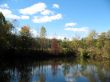 Pond in a fall