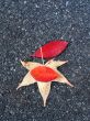 Leaves in fall