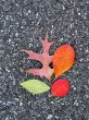 Leaves