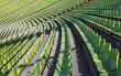 green chairs