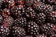 berry time