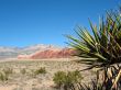 Red Rock Canyon, Nevada