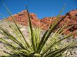 Red Rock Canyon, Nevada