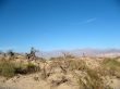 Sand dunes, Death Valley, California