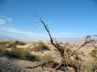 Sand dunes, Death Valley, California