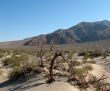 Sand dunes, Death Valley, California