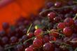 Red berry