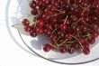 Red berry