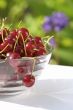 Red berry