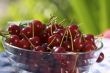 Red berry