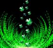 Abstract with Clover leaves
