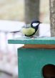 Feeding trough