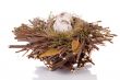 Bird nest