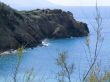 Coast