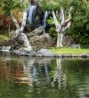 Japanese Garden