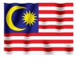 Malaysian fluttering