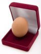 Egg  in Jewelry Box
