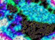 Psychedelic abstract