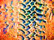 abstract tyre tracks