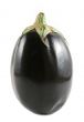 Aubergine