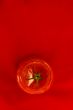 Tomato with green Isolated in White Background