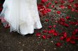 Weddings