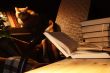 Books and cat