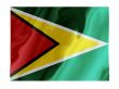 Guyana fluttering