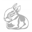 ornate rabbit
