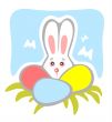 timid rabbit and eggs