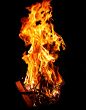 Bonfire