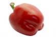 sweet peper