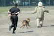 Policeman and dog.