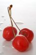 spring cherries