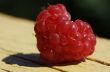 raspberry heart