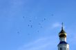 Birds on dome