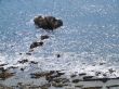 Stones in the sea