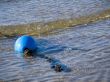 Blue buoy