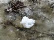 Last snow
