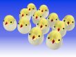 Easter egg with chicken