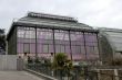 greenhouse of museum in Paris