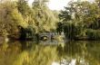 The wooden bridge