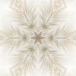 Feather Star Abstract