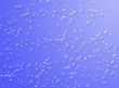 Blue water drops