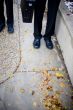 businessmen`s legs