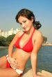 Girl on  the beach