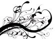 abstract floral mono