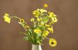 spontaneous flowers bouquet
