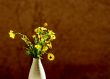 spontaneous flowers bouquet