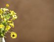 spontaneous flowers bouquet